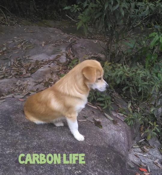 Boots chilling by the water.